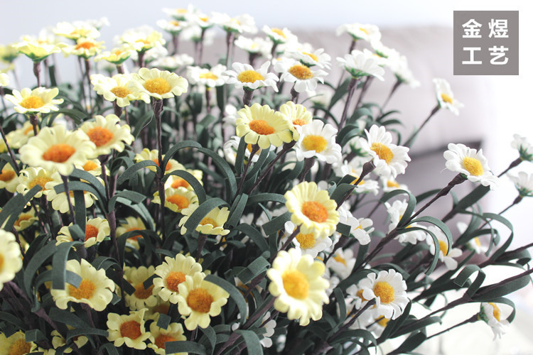 IMG_4374_副本_副本