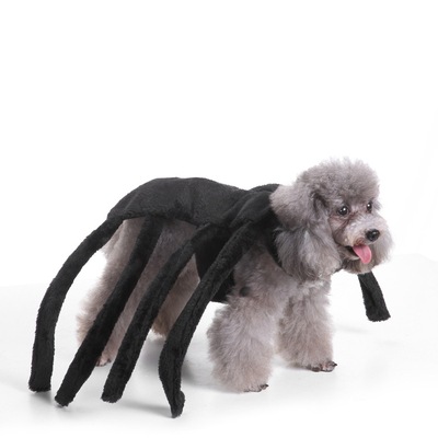 Cross border clothes Halloween Christmas Pet clothes Bat suit Pet dog clothes Christmas dress