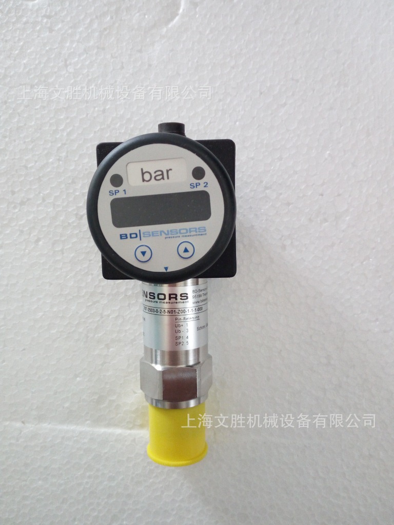 德国BDSENSORS压力传感器DS201P(787-2503-0-2-5-N01-Z00-1-1-1-