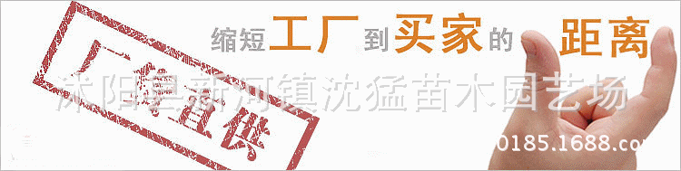 1952227036_1882800329