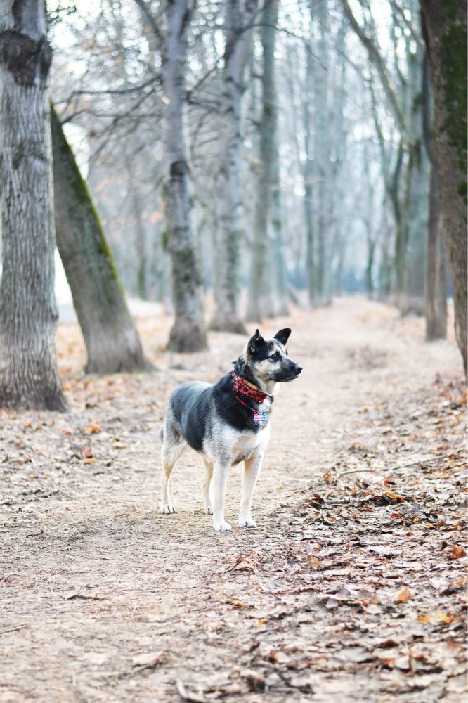 UTB8qMCopSnEXKJk43Ubq6zLppXag