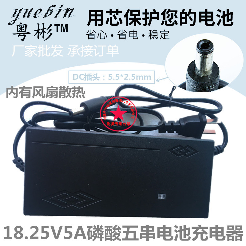 供应5串磷酸铁锂18.25V 5A电池充电器