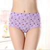 Cotton cute pants, trousers, combed cotton, wholesale