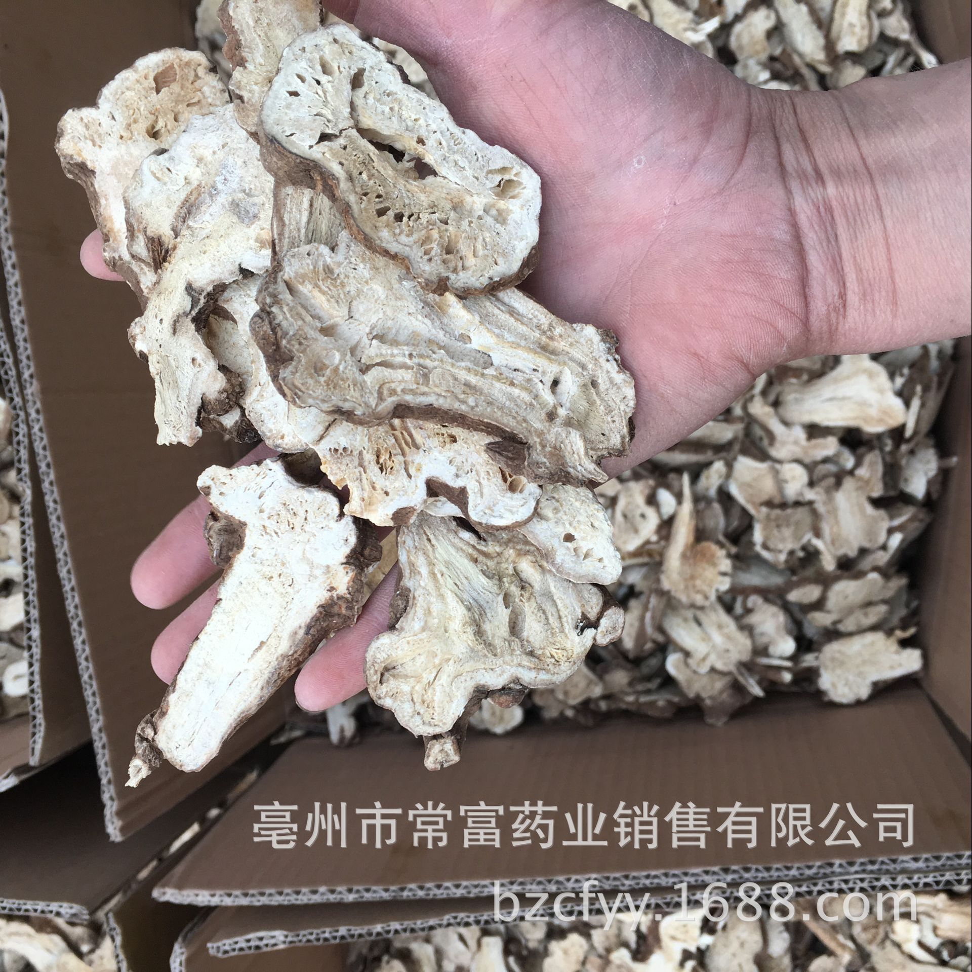 Dried White Atractylodes Rhizome Slices Bai Zhu 500g Traditional TCM Herb for Decoction and Soup specifications
