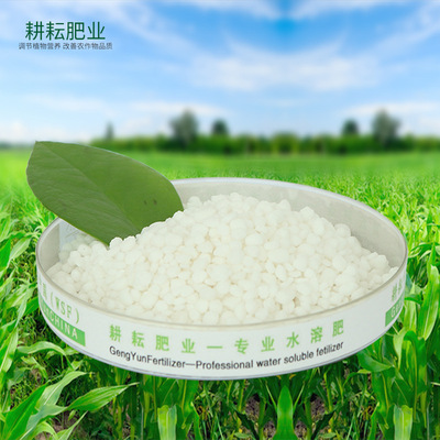 Shandong Manufactor Supplying Ammonium chloride grain Water solubility Agriculture Fertilizer Welcome Choose Ammonium chloride grain
