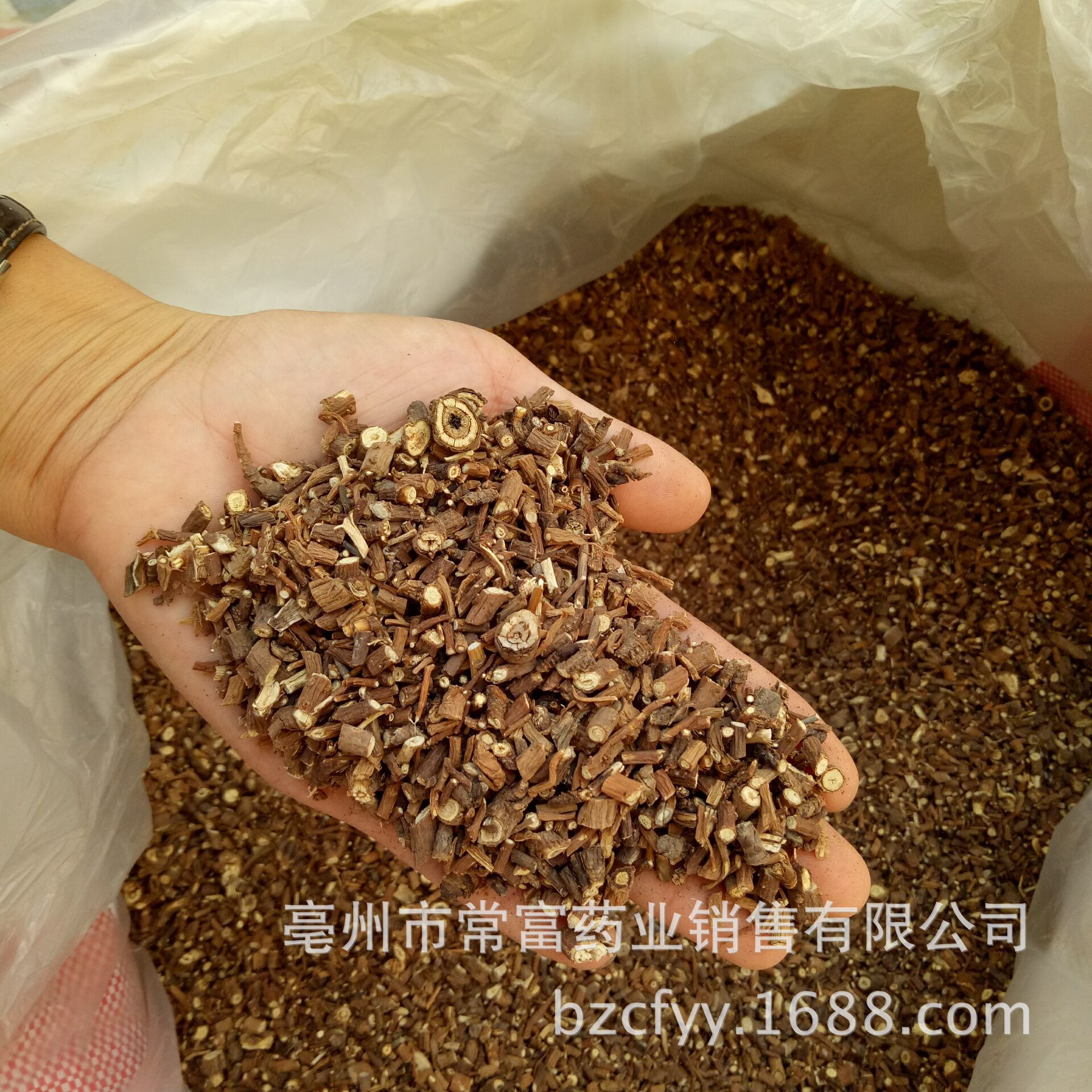 Chai Hu Bupleurum Root Slices 1 lb Dried Chinese Herbal Decoction Pieces for Traditional Herbal Cooking specifications