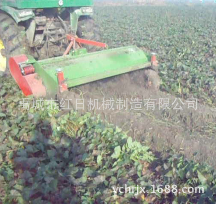 农用杀秧机  马铃薯杀秧机  农用土豆灭茬收获机  红日收获机