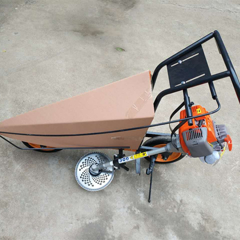 455661486727738037_副本