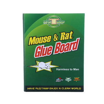 廠家批發粘鼠板 老鼠飯滅鼠老鼠粘 現貨老鼠貼紙現貨