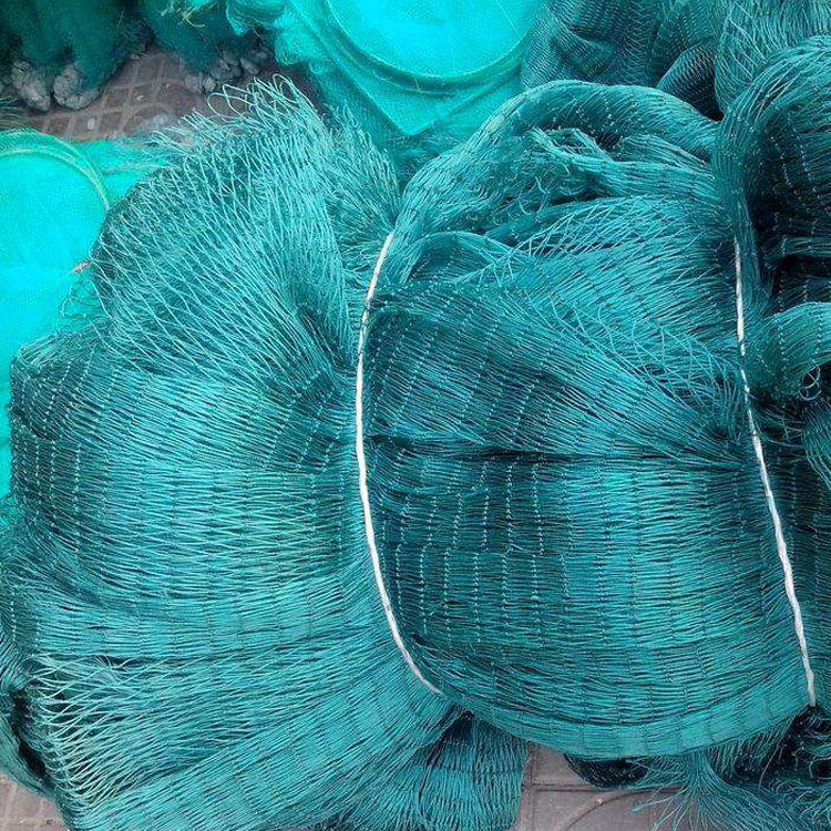 爬藤养殖网塑料养鸡网防鸟网防护栏网渔网小鸡围网养鸭拉网定做