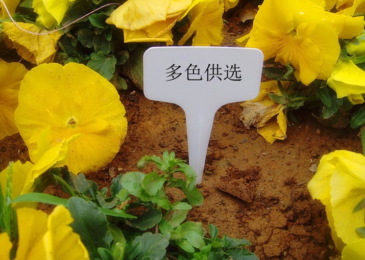 植物插地标牌