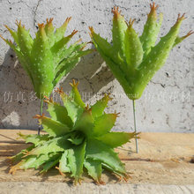 �������ֲ�����ϻ���ֻ�J�C�����ָд�̖�J�Cֲ��͏d�b�Ʒ