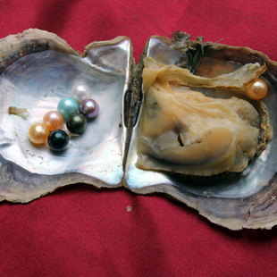 ֱ��ؐ��ˮĸؐ ��ˮ����Ⱦɫ�A�麣ˮ�����T��ɽ�º�ԭ�a�س���