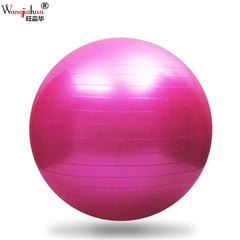 Yoga Fitness Ball 65CM Thickened Heavy PVC Balance Ball Gym Exercise Ball