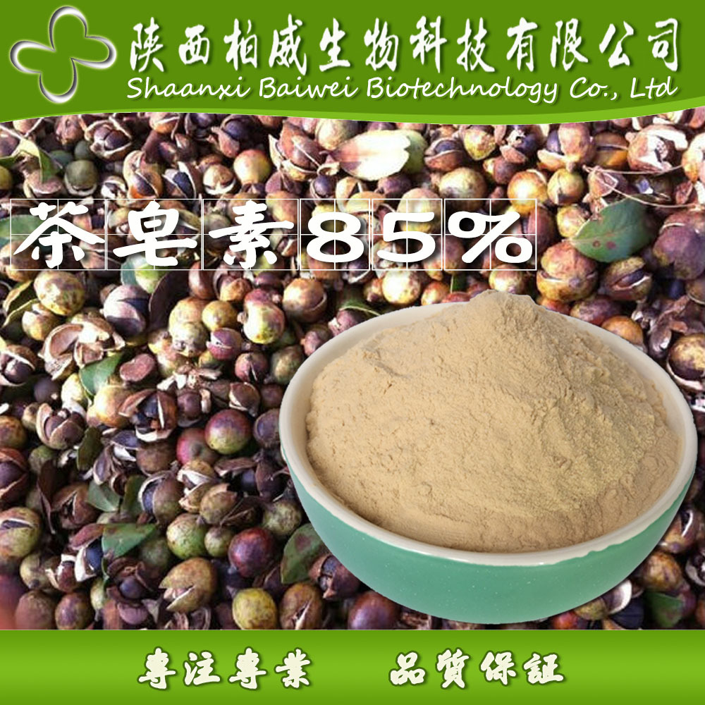 茶皂素 85% 茶皂甙 發泡劑 茶樹籽提取物  天然非離子表面活性劑