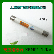 ϺǏV ߷֔߉۔ XRNP1-12KV/0.2-10A ~