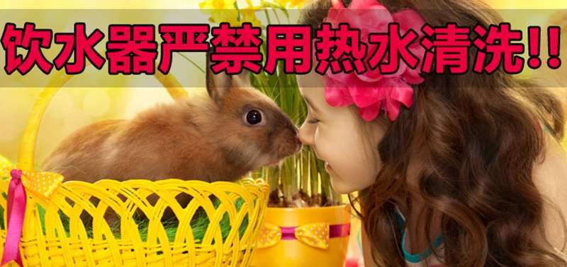 2345_image_file_copy_4