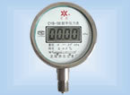 耐高温型数字压力表/压力表