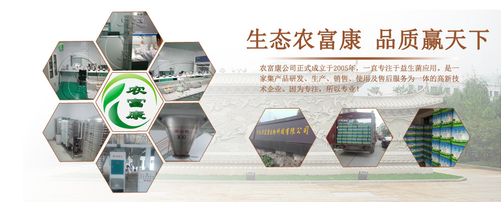 ��˾����