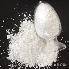 氯化物;碳酸盐;亚硫酸盐