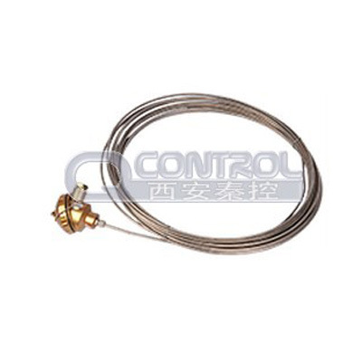 【秦控】无固定装置式热电阻 WRCK-121 铠装热电偶