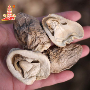 ���l�ݹ�����؛�ɲݹ��خa�F؛���l�m����ʳ�þ�һ�����l500g