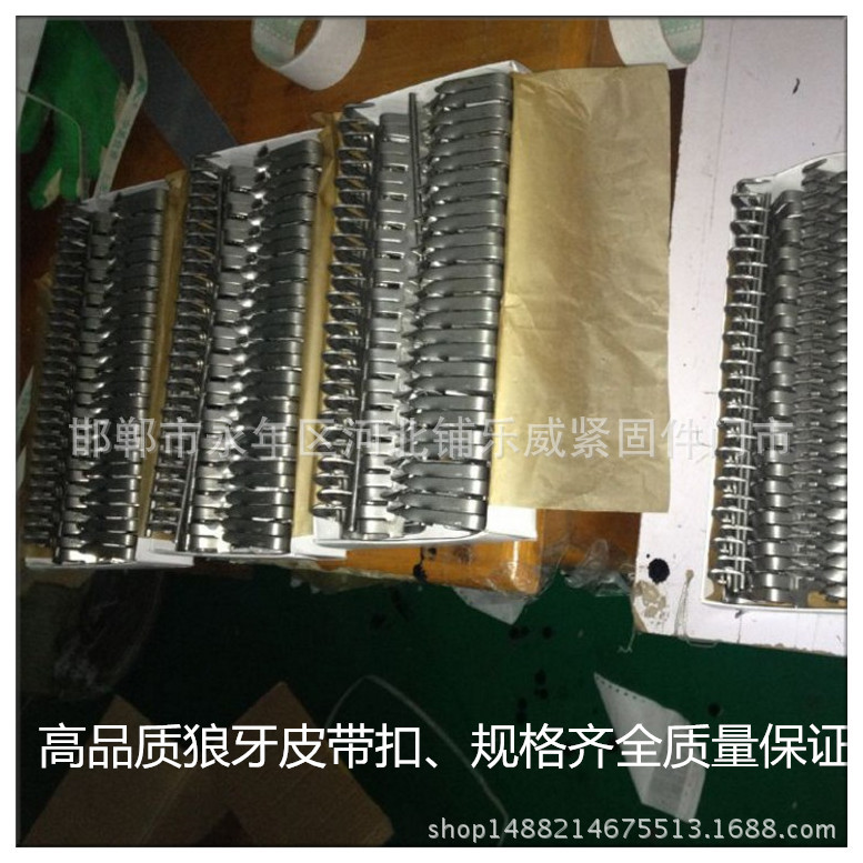 Belt stainless steel