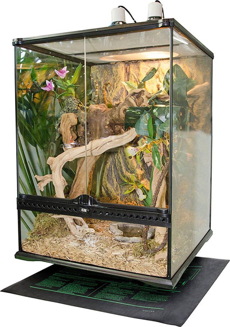 中号育苗加热垫效果图