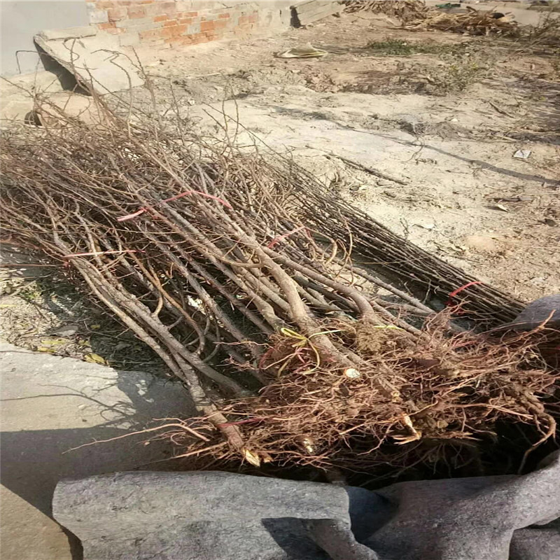 寰俊鍥剧墖_20171104153432