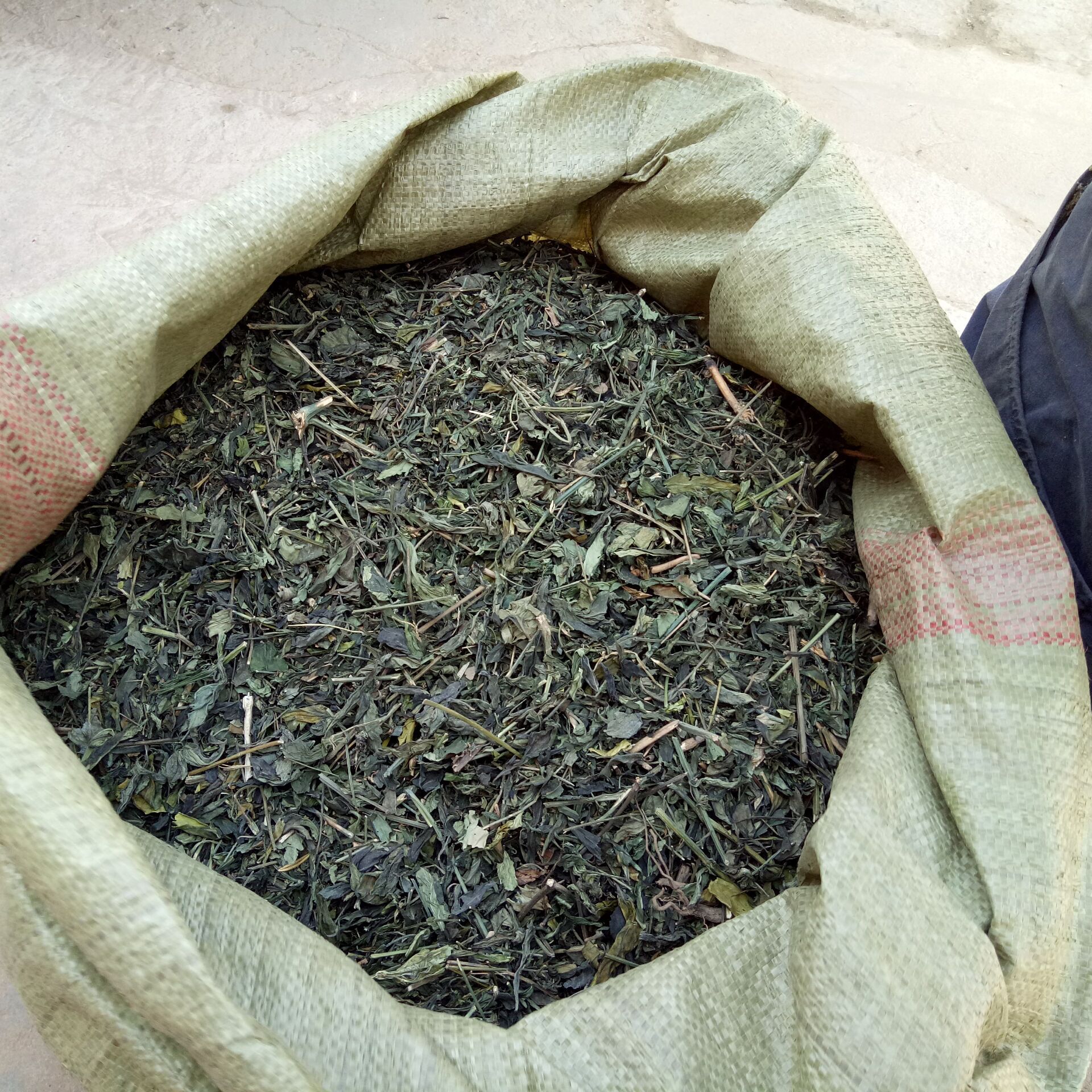 Chuan Xin Lian Andrographis Leaf Dried Herb 500g Bulk Culinary Herbal Supply key features