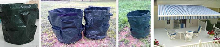 QQ图片20170524123144