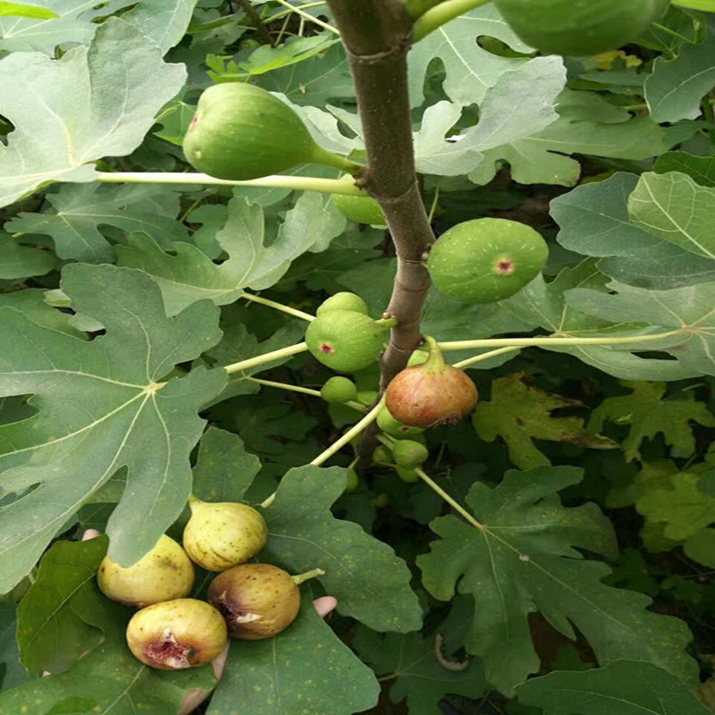 寰俊鍥剧墖_20171227140929_鍓湰