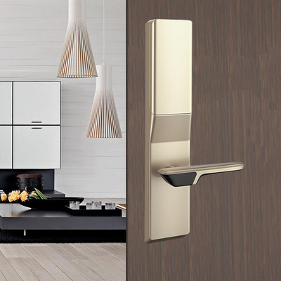 全自动智能指纹锁 家居防盗智能指纹锁 厂家批发直销