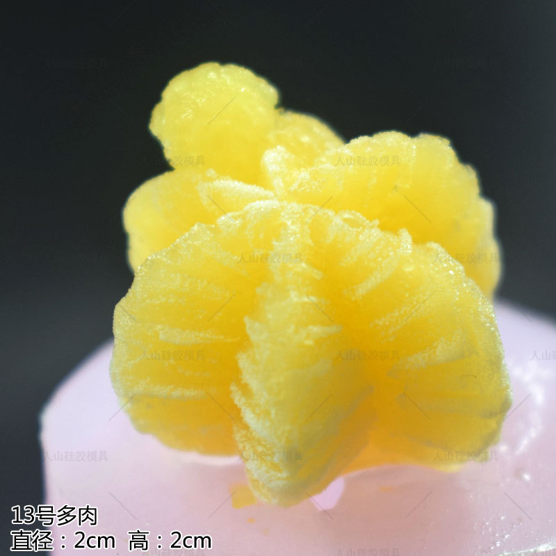 多肉慕斯模具13号主图