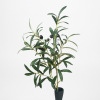 The new six -fork simulation olive branch with fruit fake tree leaves simulation plant decorative green plant photography explosion