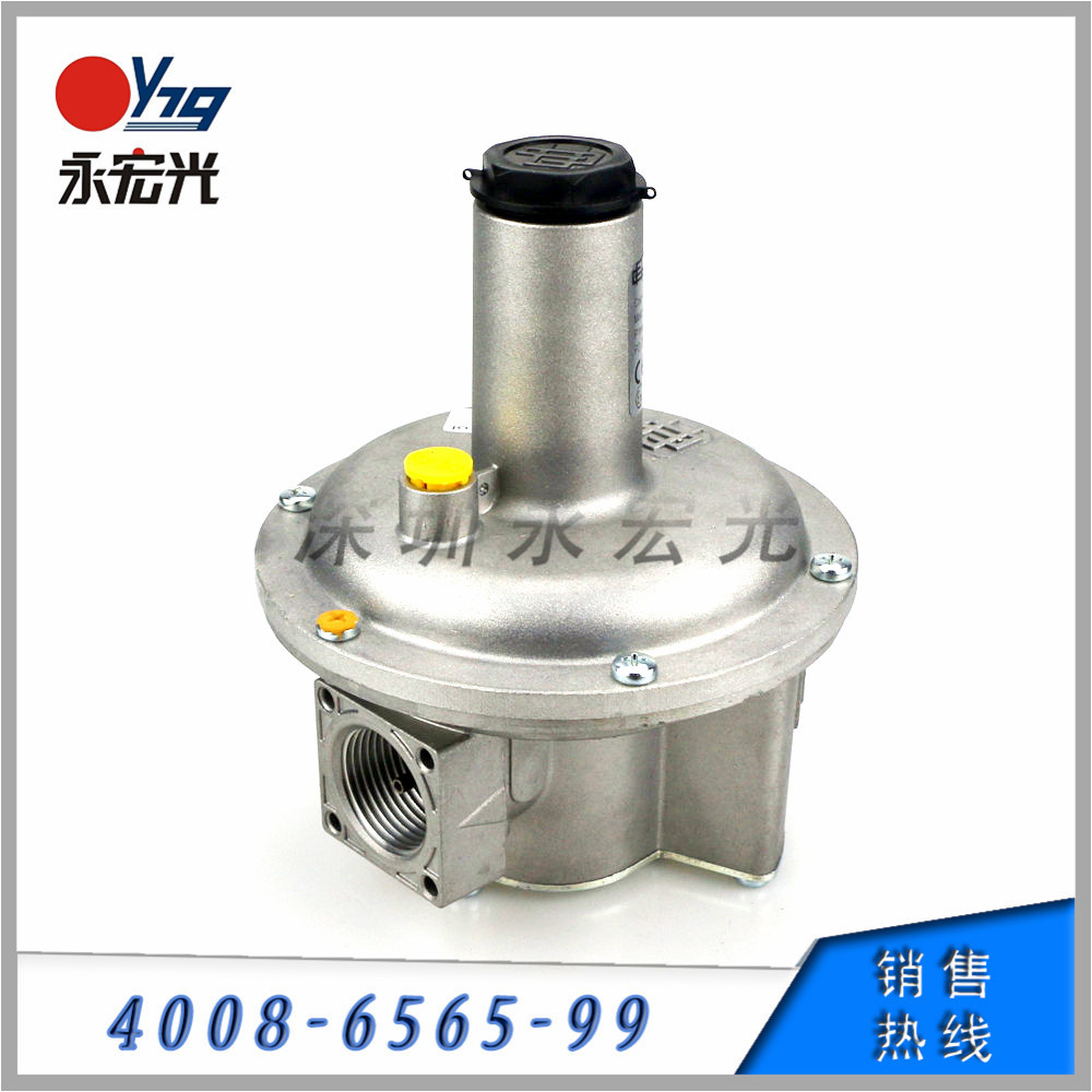 正品销售FGDR25/CE原装朱丽安尼燃气调压阀