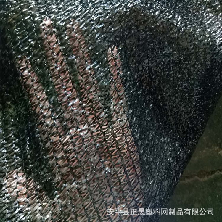 4408872880_431992108