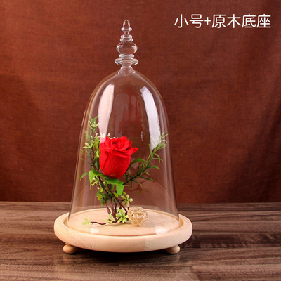 Micro paisaje florero de cristal belleza y bestia paisaje cubierta regalo adornos