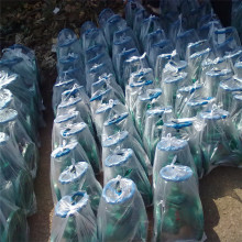 UJ41H-25C DN200 ���������y,���P������y,�T������y�r�񃞻�