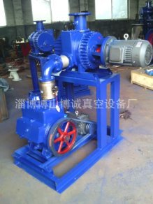 罗茨真空机组 厂家组装水环罗茨机组