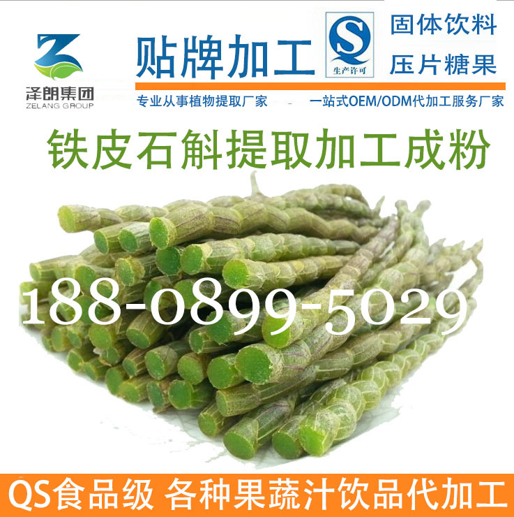 铁皮石斛提取加工成粉