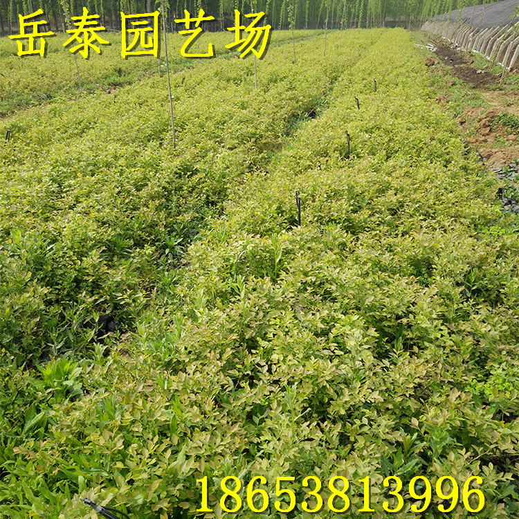 img20160422100751