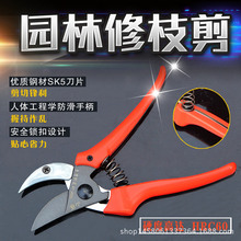 ̨��ɽ�� �@�ּ��� ��֦��ʡ����֦���� �����֦���{�ƿ��֦��