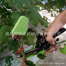 新款不卡钉台湾蔬菜西红柿绑枝机 优秀绑蔓机
