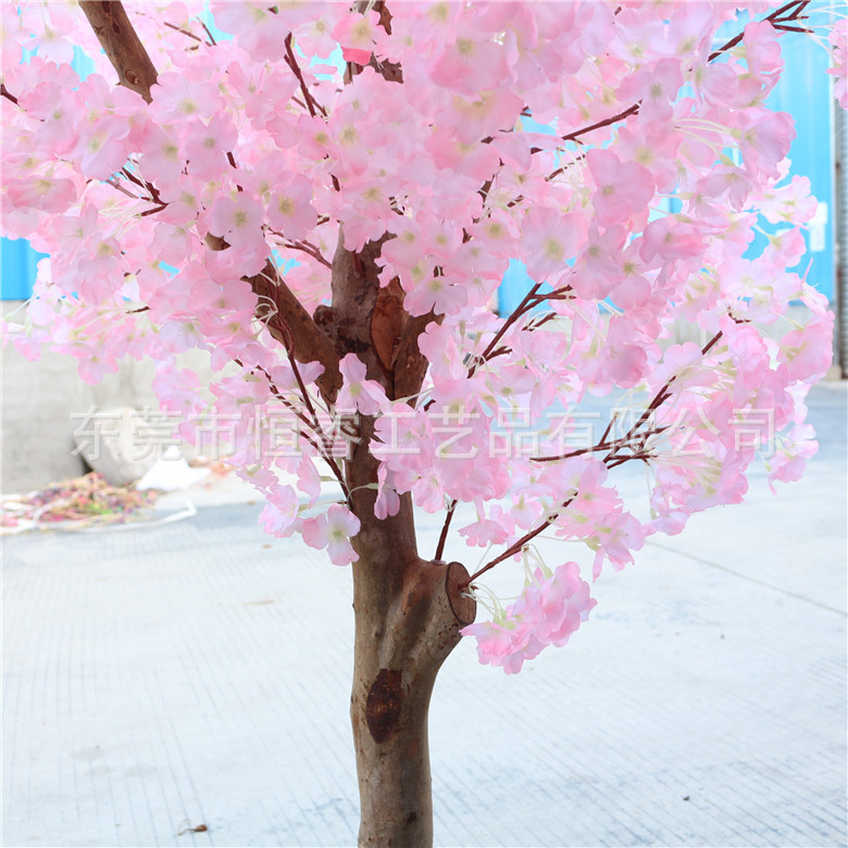 4302228673_1590719551