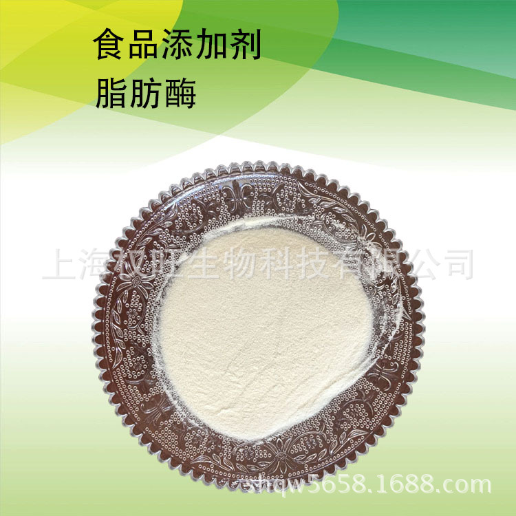 厂家现货脂肪酶  食品级脂肪酶含量99%