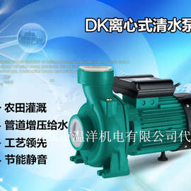 新界ZDK型离心式微型清水电泵农业用灌溉供排水冷却增压泵循环泵