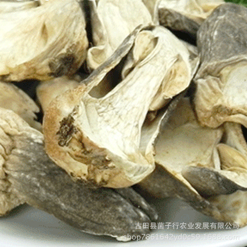 2963803360_1766974570