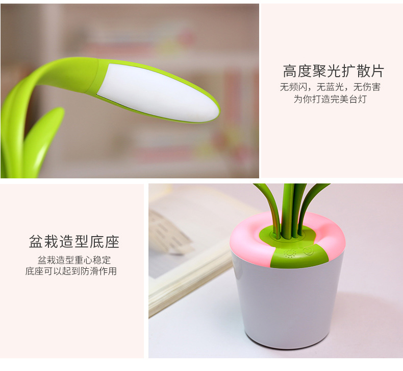 君子兰台灯-详情-2_13