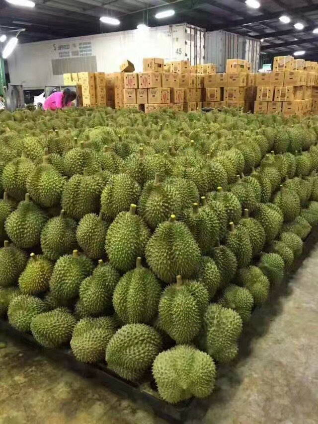 [Spot Fat]Thailand Golden Pillow Durian fresh 3-8 Jin Imported Fruit